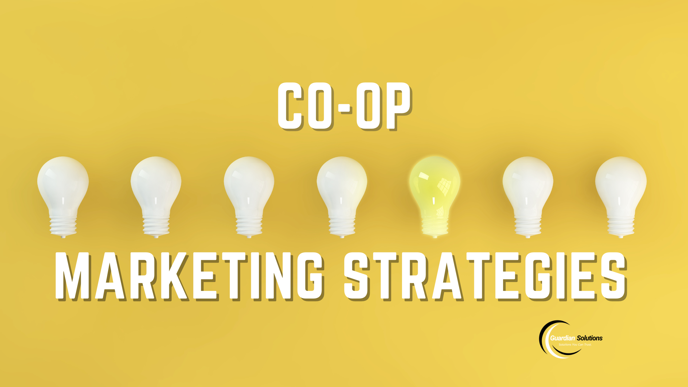 Basics of Co-Op Marketing Strategies